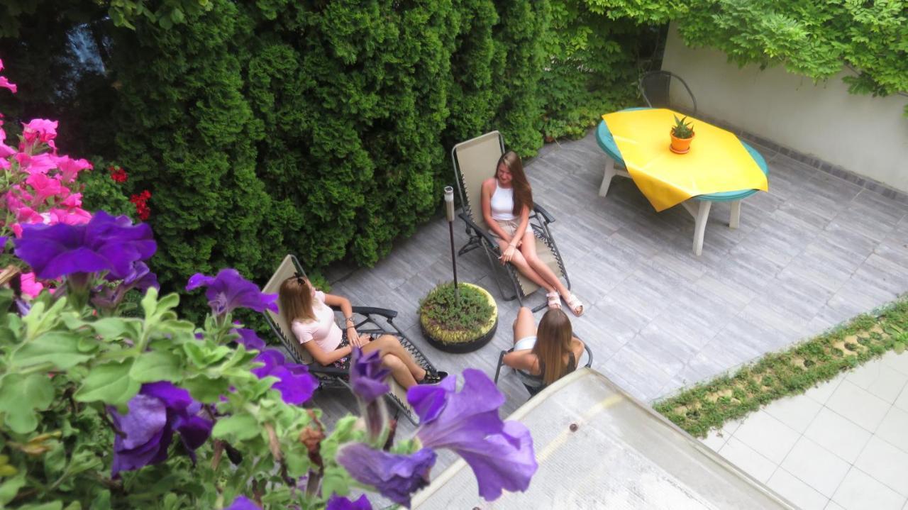 Guest House Pavlovic Soko Banja Exterior photo