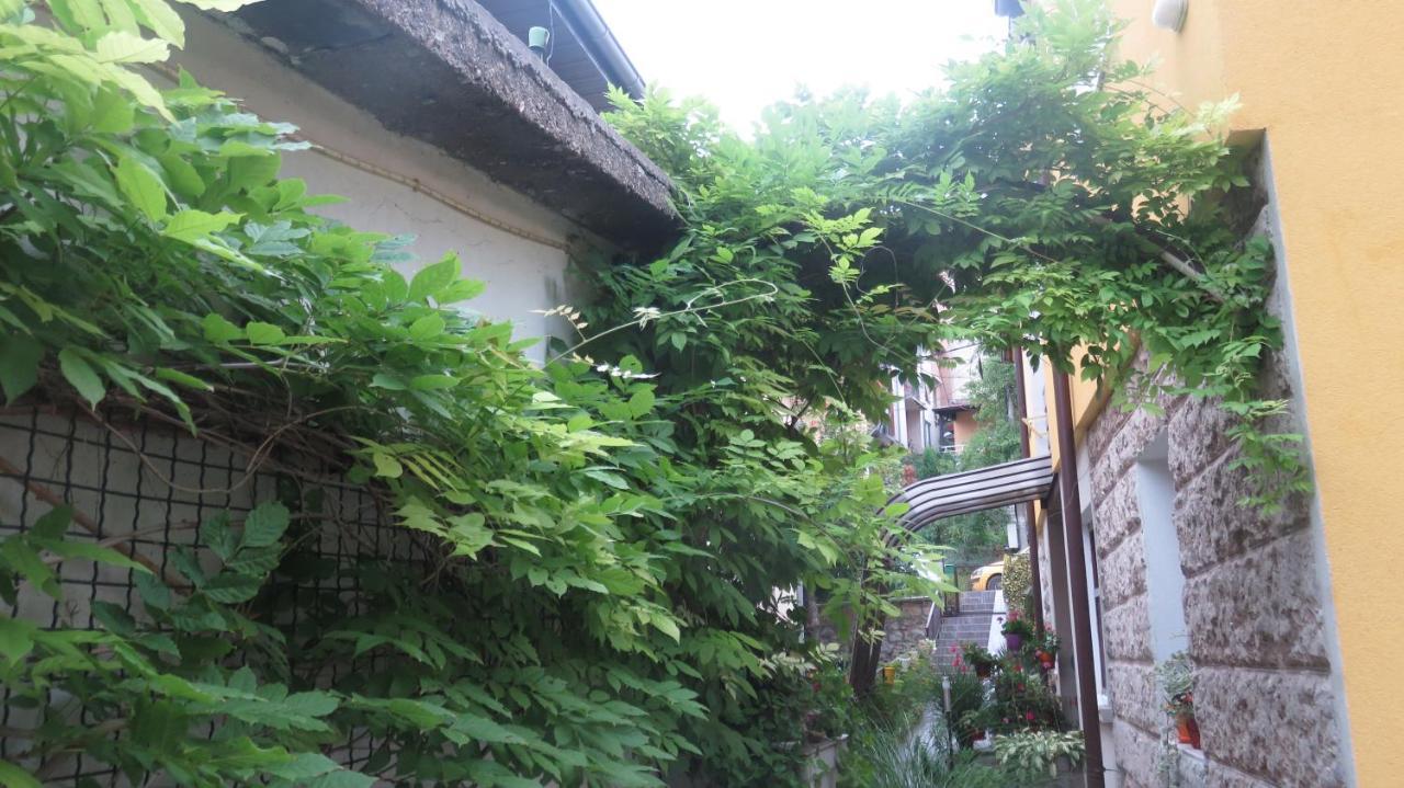 Guest House Pavlovic Soko Banja Exterior photo