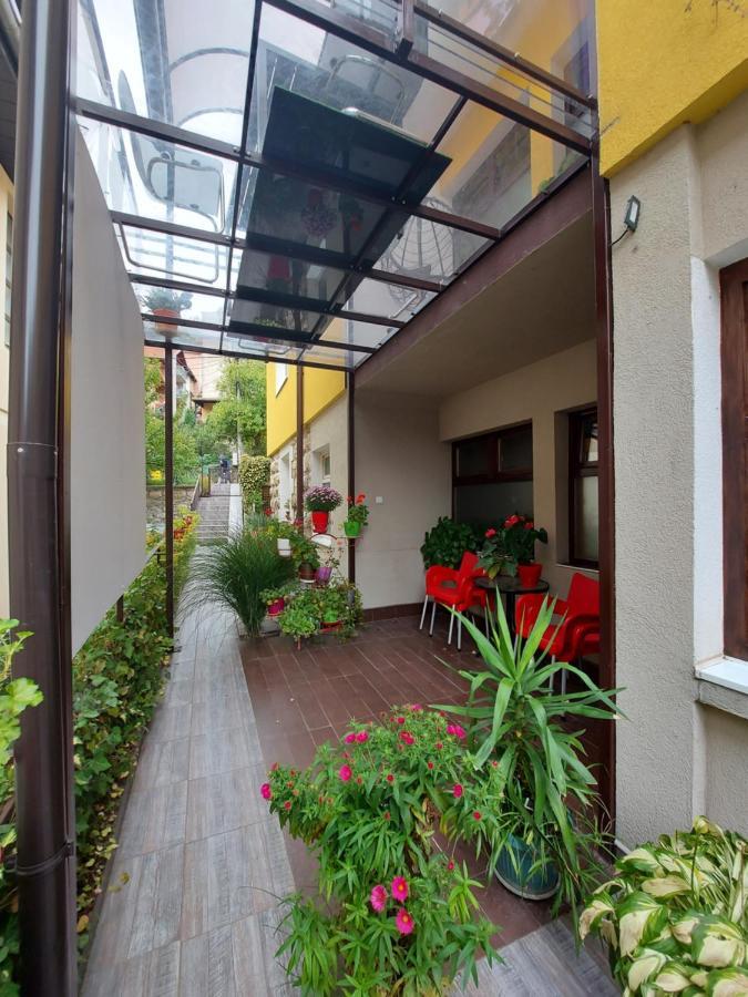 Guest House Pavlovic Soko Banja Exterior photo