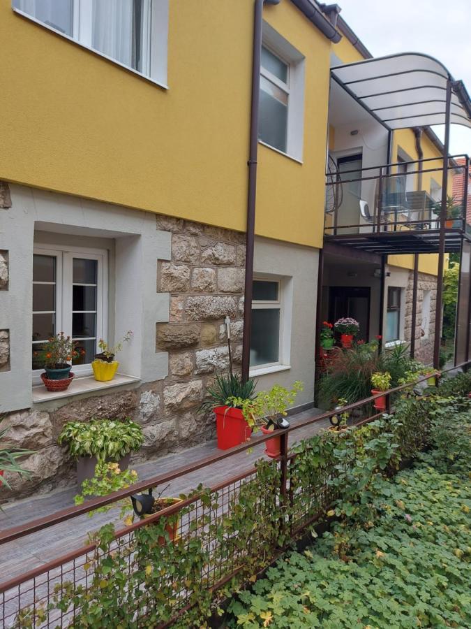 Guest House Pavlovic Soko Banja Exterior photo