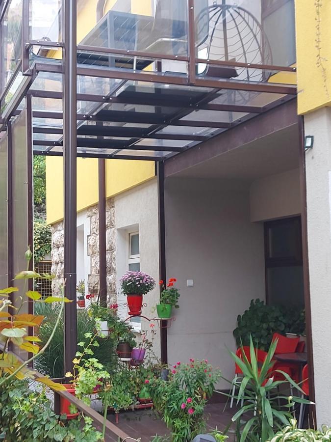 Guest House Pavlovic Soko Banja Exterior photo